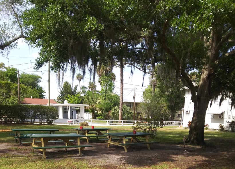 A park with picnic tables under a tree.