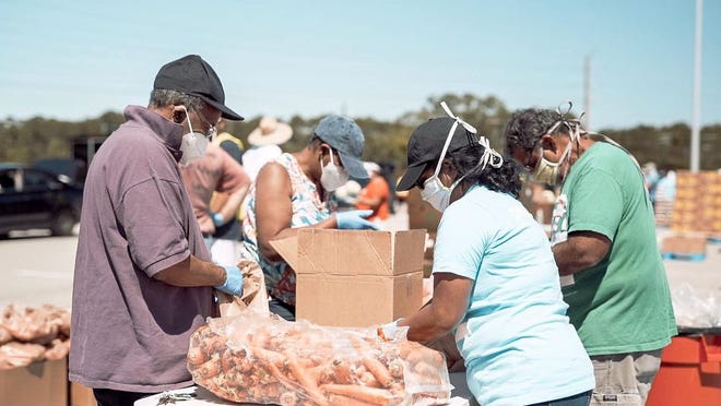 A group of people standing around boxes and carrots.